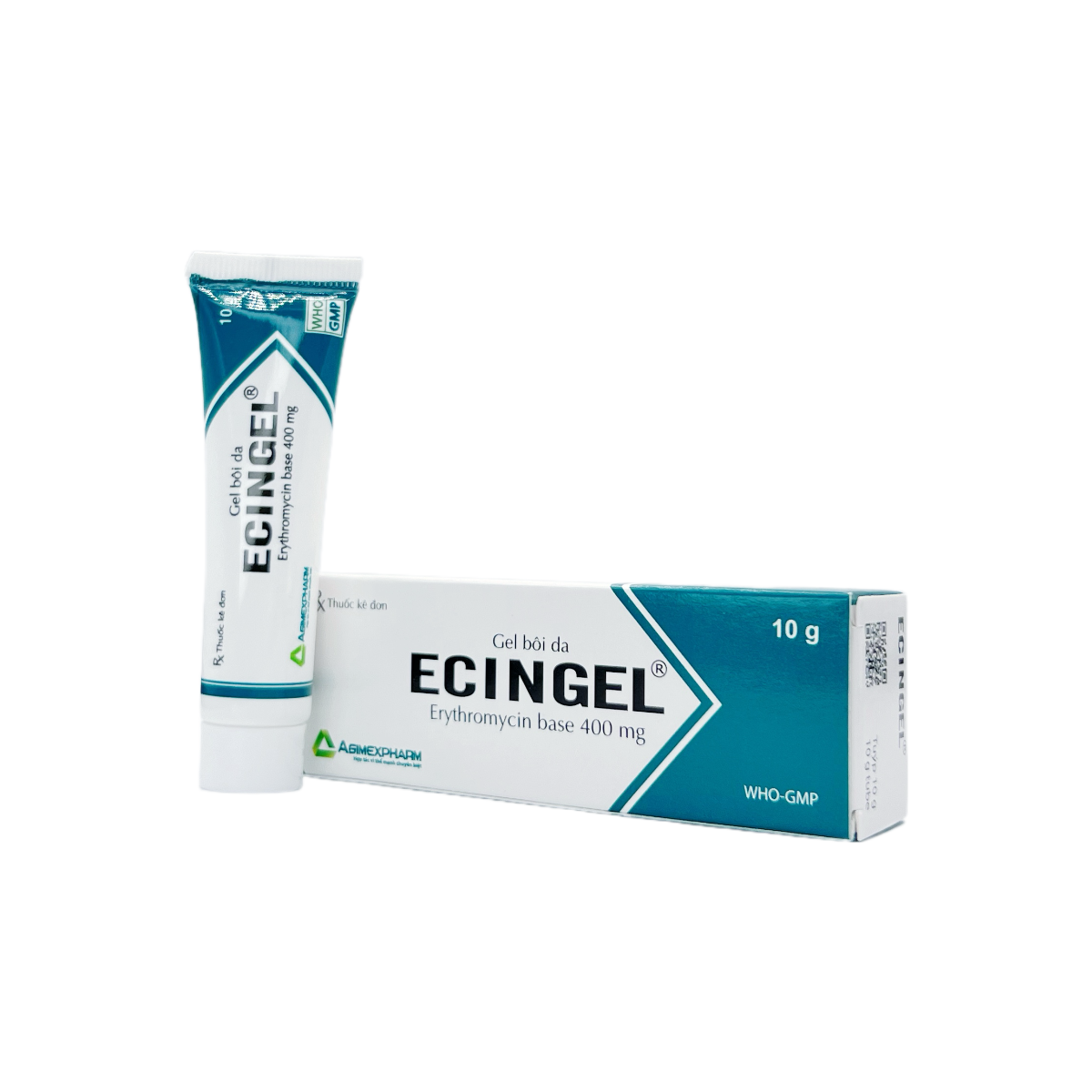 ECINGEL 02