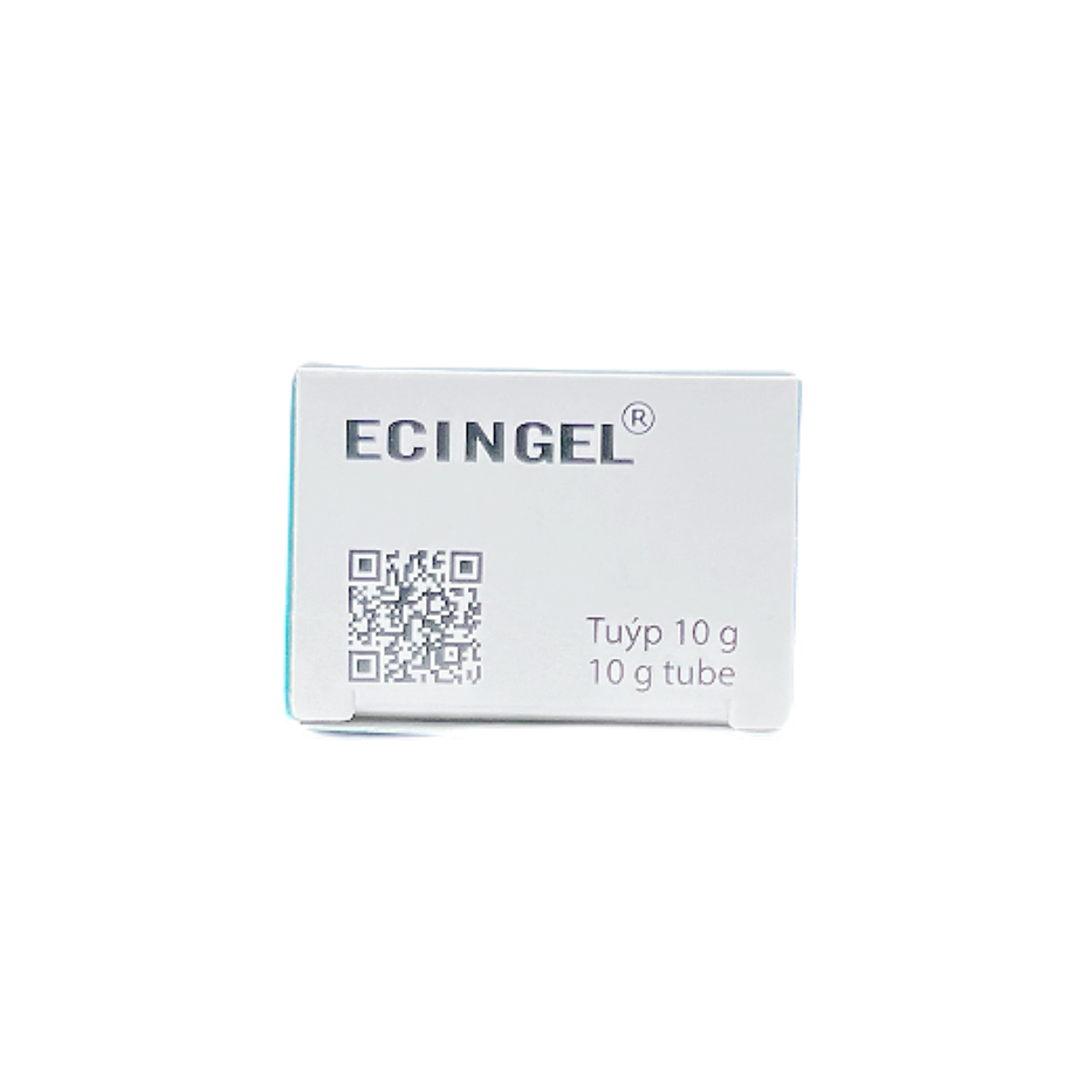 ECINGEL 06